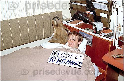baroudeur338