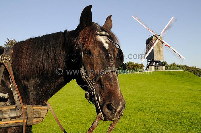 belgique_011