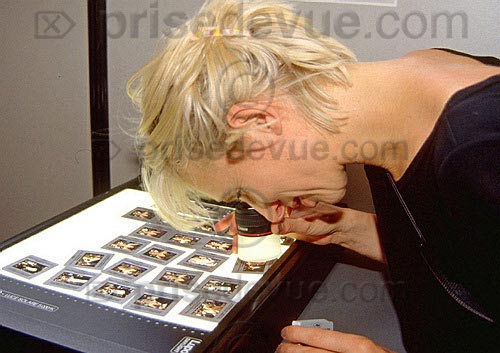 Cannes26.jpg