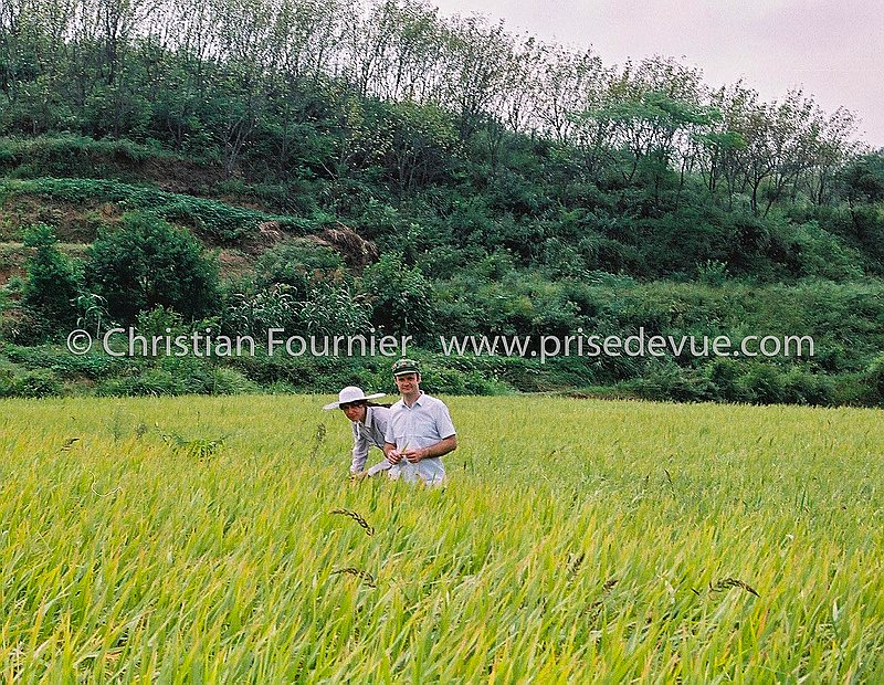 chine_032