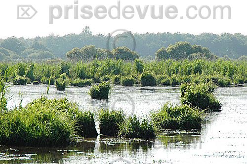 Essilor_LaBaule_280