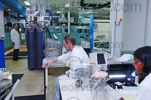 19 mise en pinces et lavage.jpg