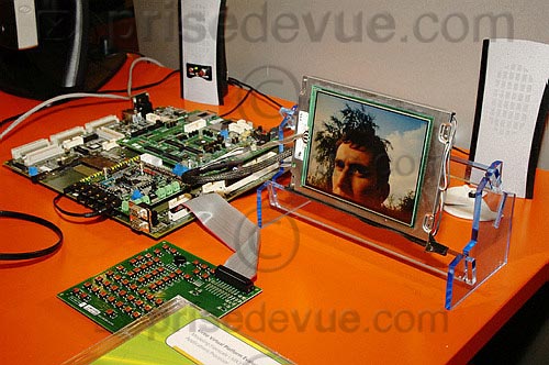 FreeScale0069.jpg