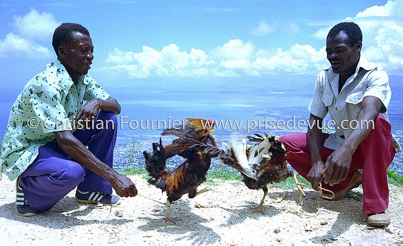 Haiti_048