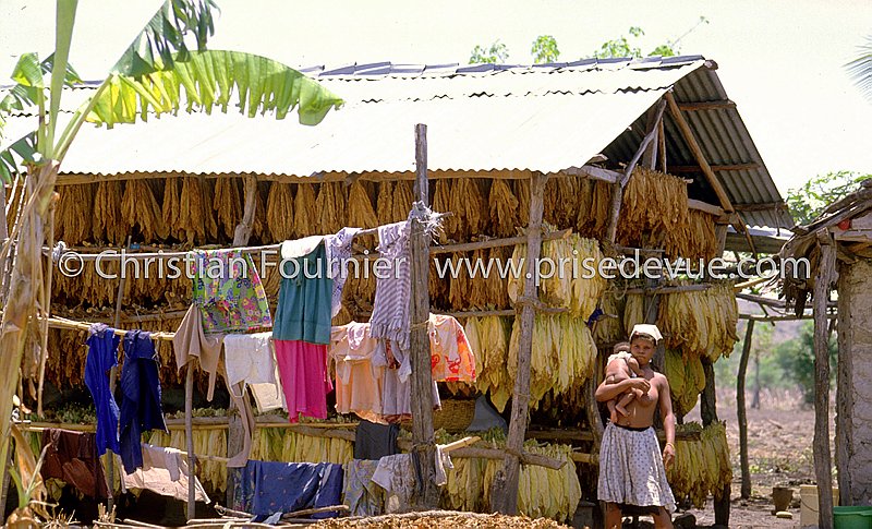 Haiti_067