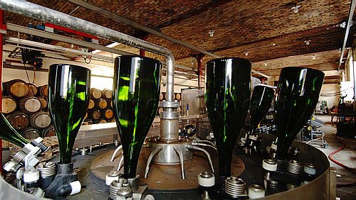 Krug19