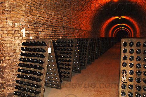 Krug21