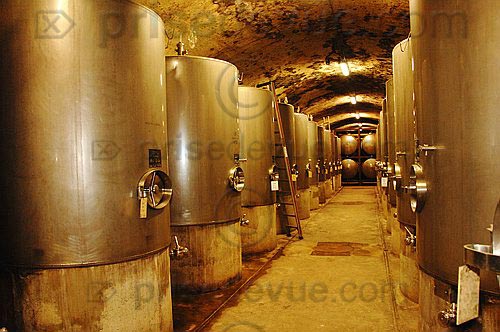 Krug23