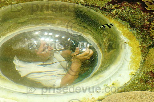 Fournier_017