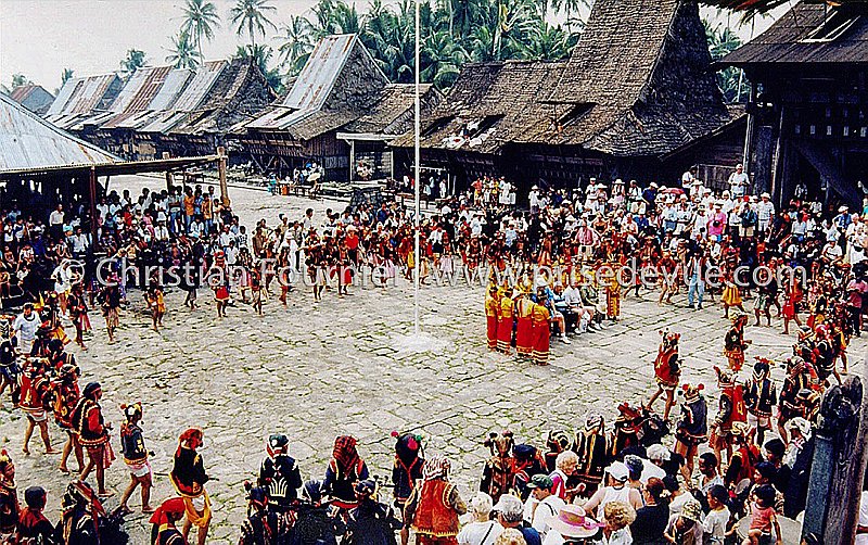Nias_11