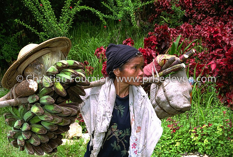 Nias_04