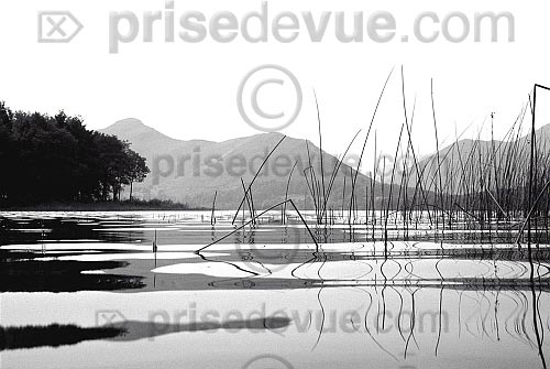 paysages14