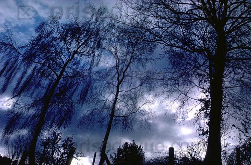paysages16