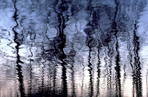 paysages17