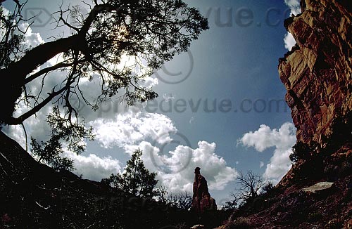 paysages24