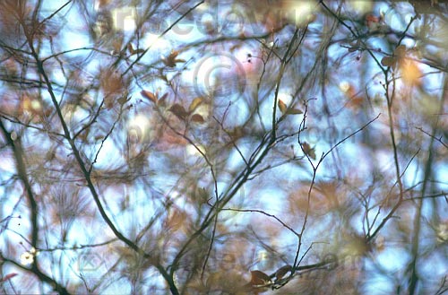 paysages27