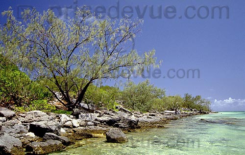 paysages46