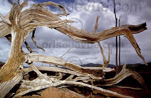 paysages48