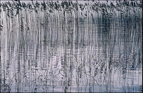 paysages05