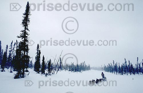 paysages50