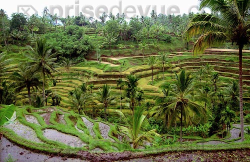 paysages62