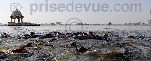 paysages63