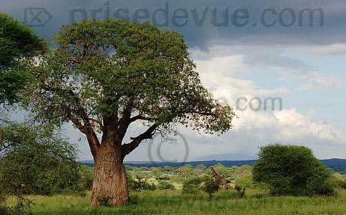 paysages83