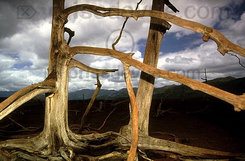 paysages88