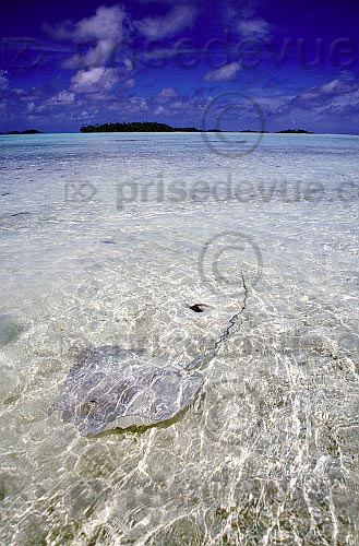 paysages89