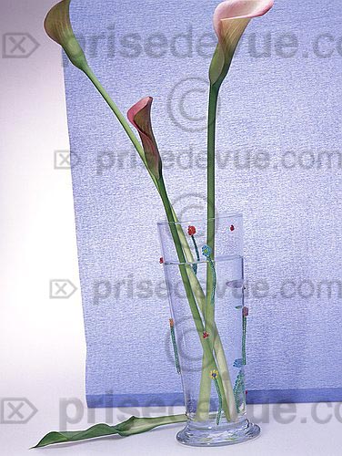 perles_Hachette05