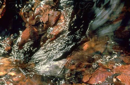 reflets010