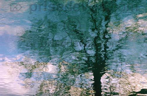 reflets013