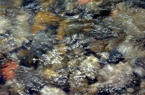 reflets016