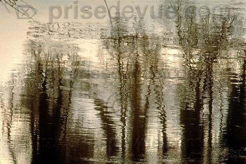 reflets019