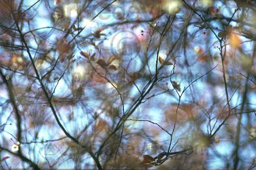 reflets022