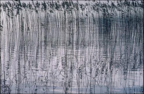 reflets024