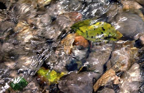 reflets006