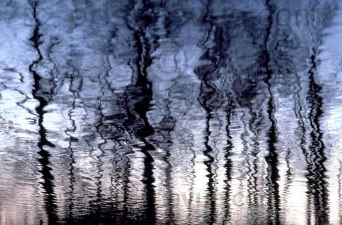reflets009