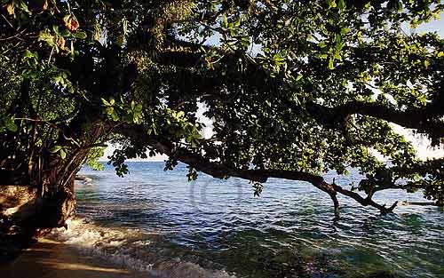 sipadan_027.jpg