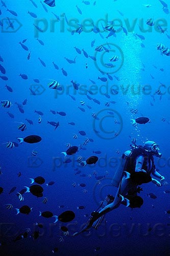 sipadan_028.jpg