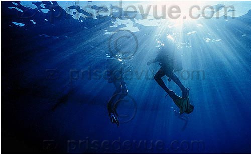 sipadan_033.jpg