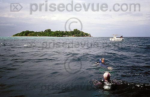 sipadan_045.jpg