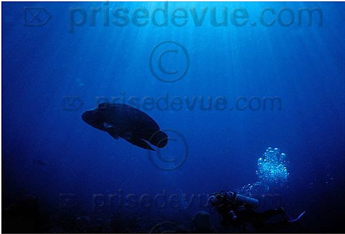 sipadan_048.jpg