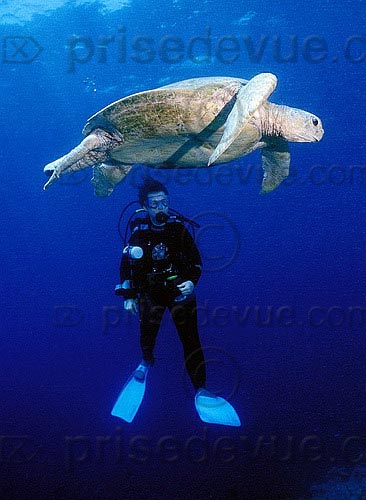 sipadan_050.jpg