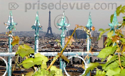 photographe 054.jpg